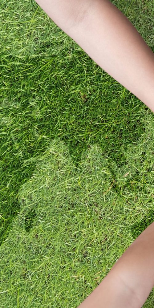 Global community teamwork, CSR and ESG environmental energy saving collaboration among young children with partnership hands stack together on&nbsp;green background for sustainable development goal concept